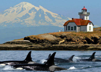 Pacific Northwest Featuring The San Juan Islands