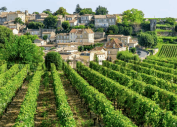 Flavors of France & Spain