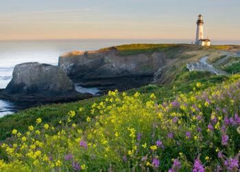 Coastal Oregon Explorer