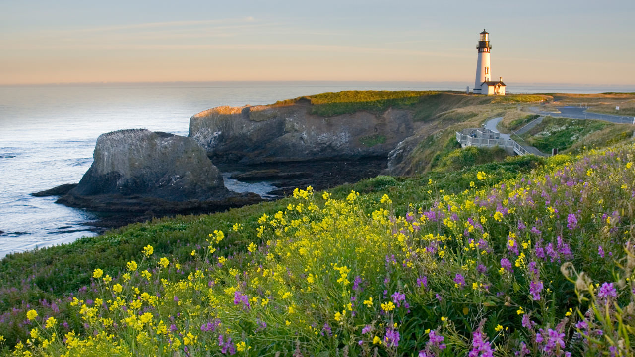 Coastal Oregon Explorer
