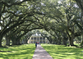 The Ultimate New Orleans Experience
