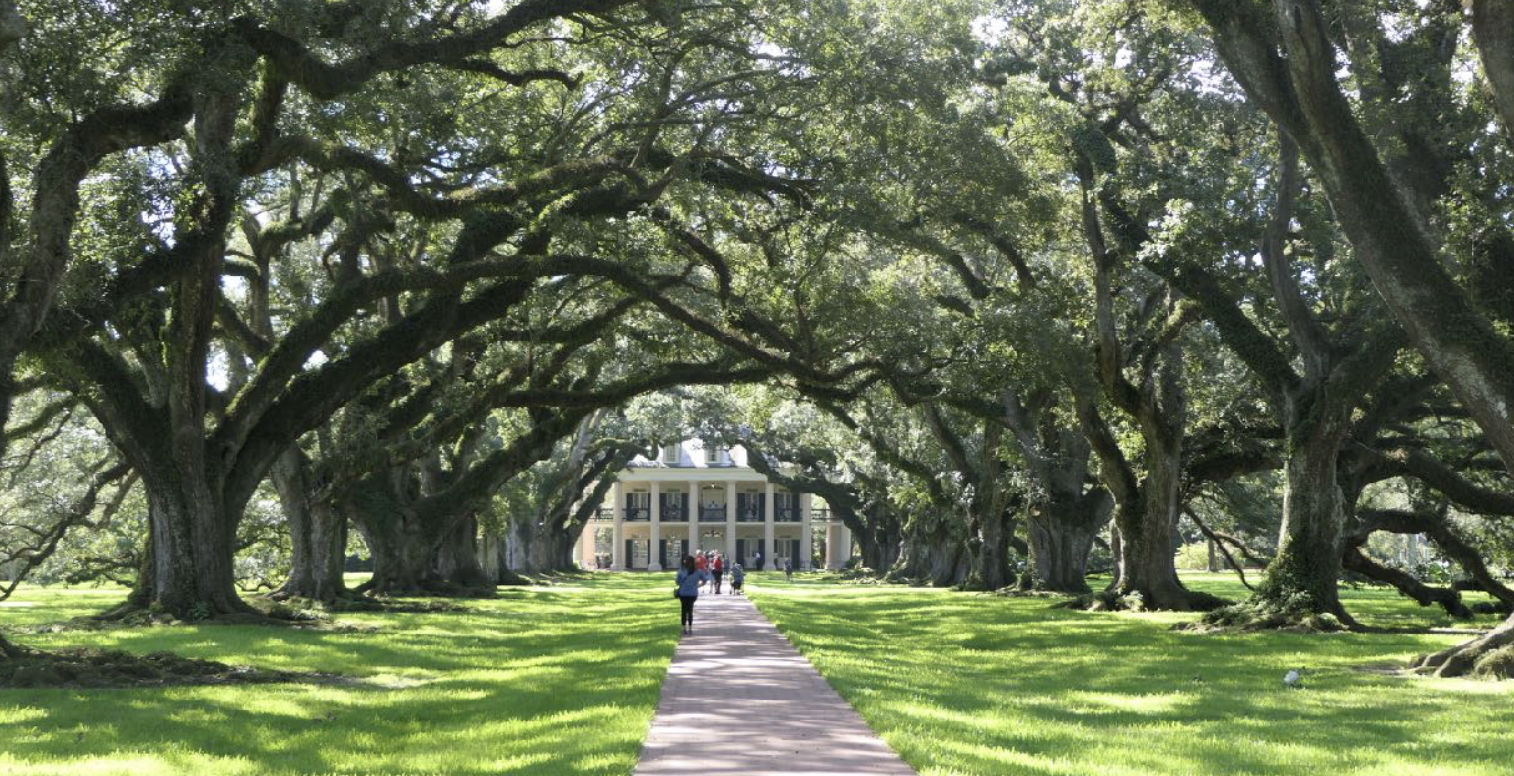 The Ultimate New Orleans Experience